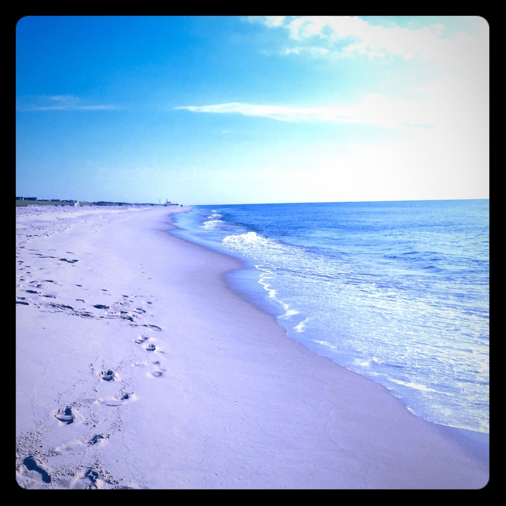 🏖🐬🌴🌺🇺🇸